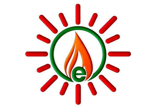 E-Nyasa logo